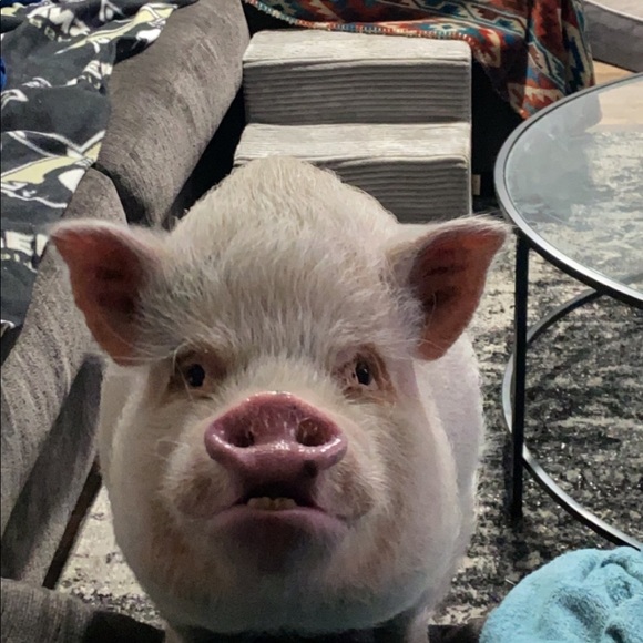 Why I Posh - Picture 12 of 16